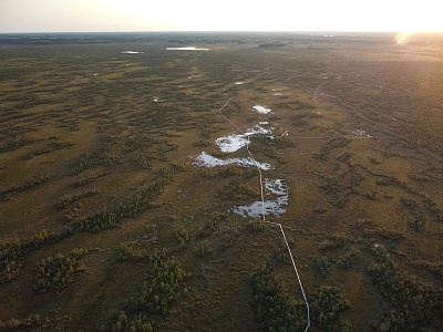  проект учёных Югорского государственного университета «Инновационная система оценки фитоклимата леса в особо охраняемых природных территориях на основе воздушного лазерного сканирования